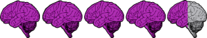 fourandhalfbrains