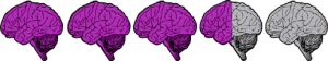threeandhalfbrains