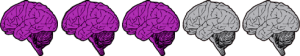 threebrains