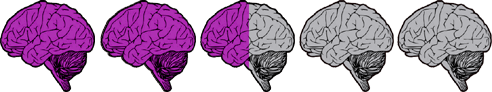 twoandhaldbrains