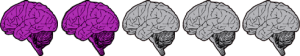 twobrains