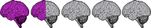 oneandhalfbrain