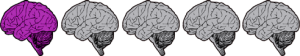 onebrain