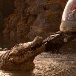 Pledges (2018) (Video Review)