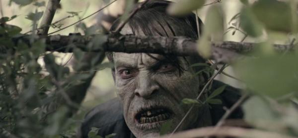 Dark Harvest 3: Scarecrow (2004) (Video Review)