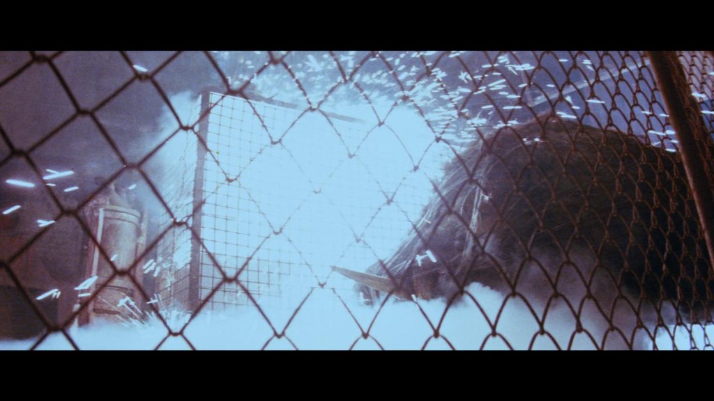 Razorback (1984) (Umbrella Entertainment BLU-RAY REVIEW)