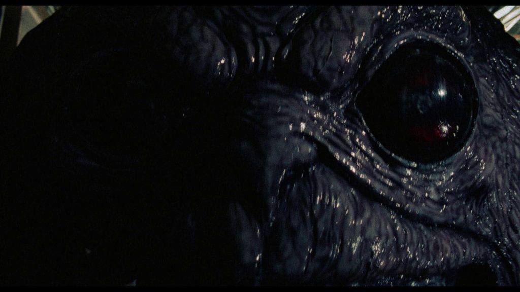 The Brain (1988) (Blu-ray Review)