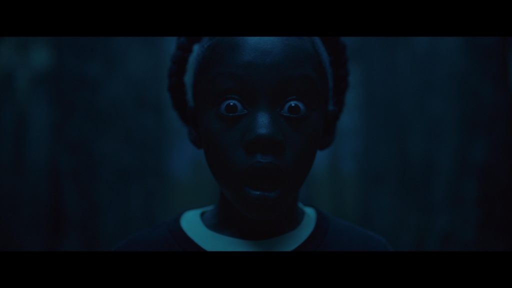 Us (2019) (BLU-RAY/DVD REVIEW)