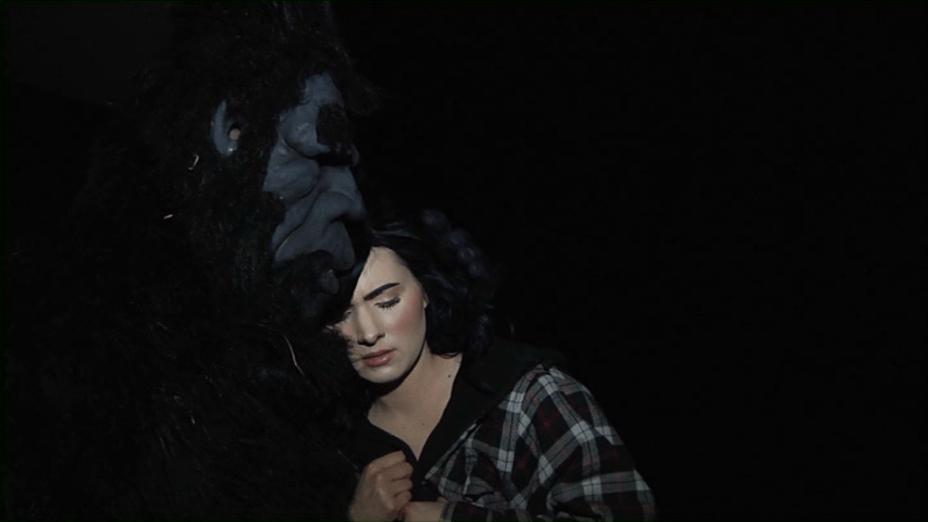 Bigfoot Blood Trap (2019) (DVD REVIEW)