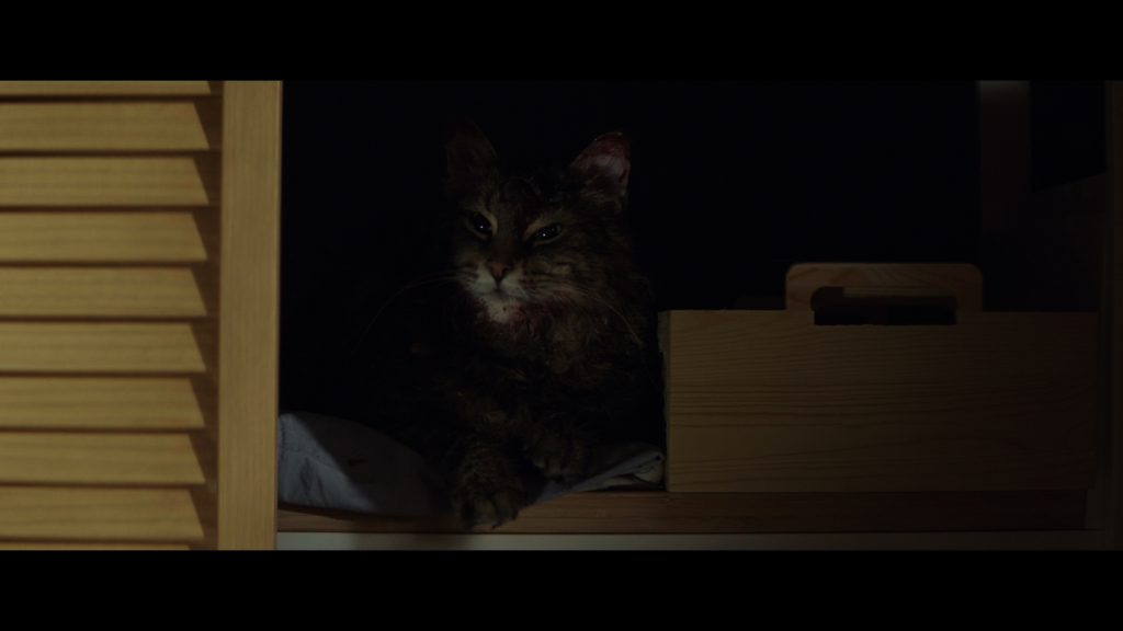 Pet Sematary (2019) (4K Ultra HD/Blu-ray Review)