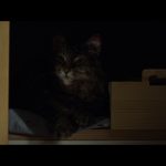 Pet Sematary (2019) (4K Ultra HD/Blu-ray Review)