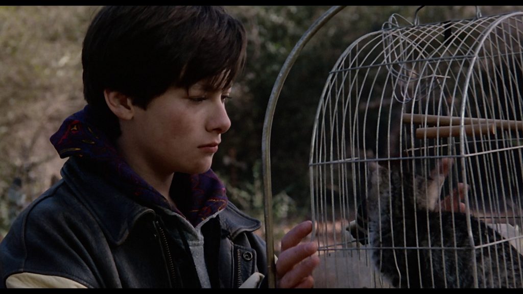 Pet Sematary Two (1992) (Collector’s Edition) (Blu-ray Review)