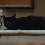 Two Evil Eyes (1990) (4K/REVIEW)