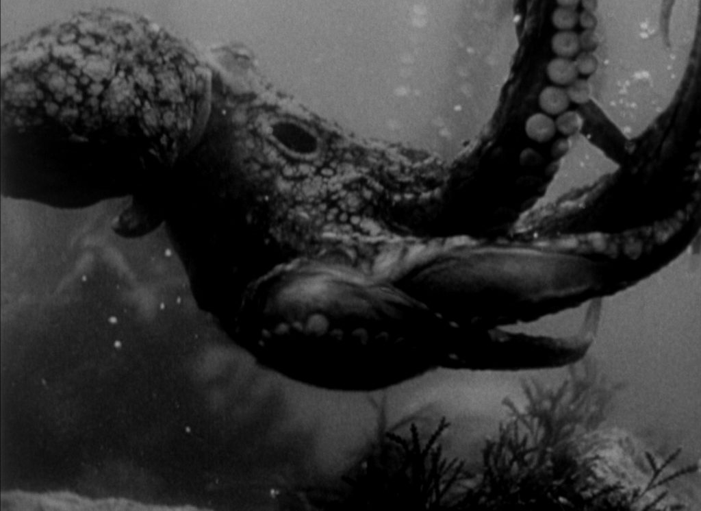 Monster from the Ocean Floor (1954) (BLU-RAY REVIEW)