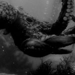 Monster from the Ocean Floor (1954) (BLU-RAY REVIEW)