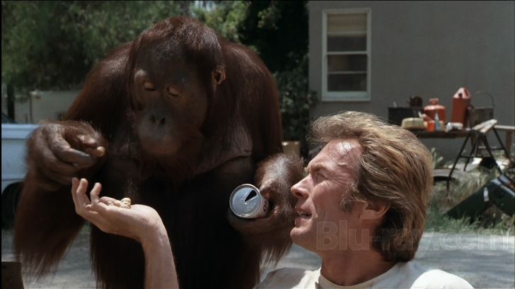 Every Which Way but Loose (1978) (Blu-ray Review)