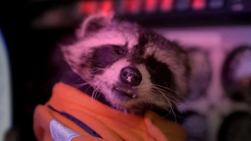 Killer Raccoons 2 (2020) (Blu-ray Review)