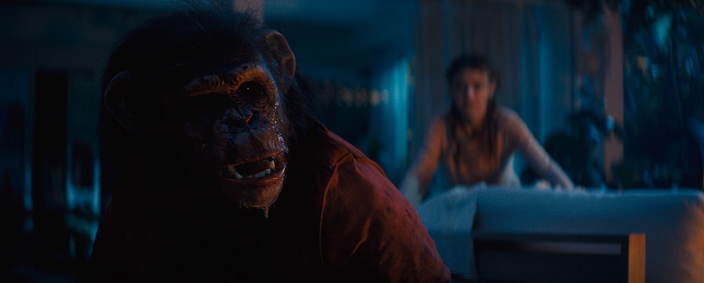 Primate (2025) (Blu-ray Review)