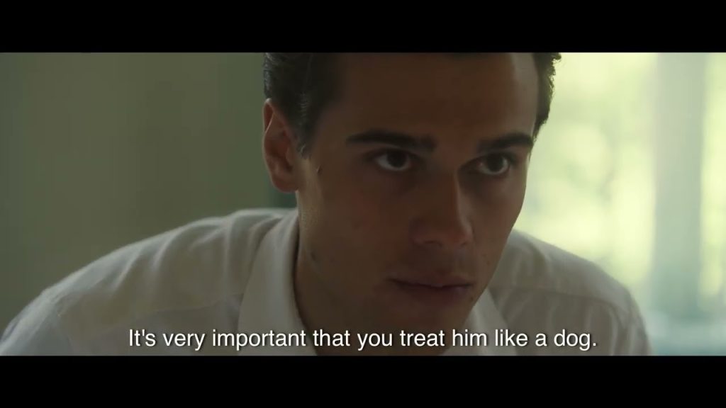Here’s the Trailer for Good Boy!