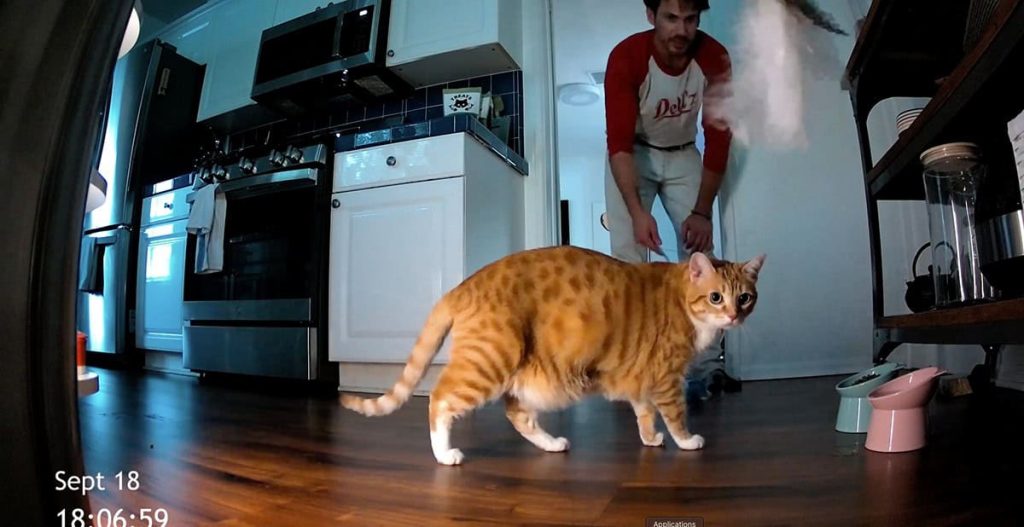 Cat Cam (2026) (Blu-ray Review)